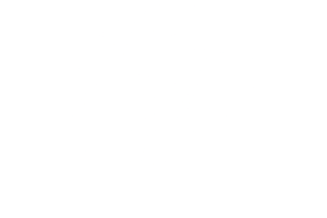 STEEZYNOVA